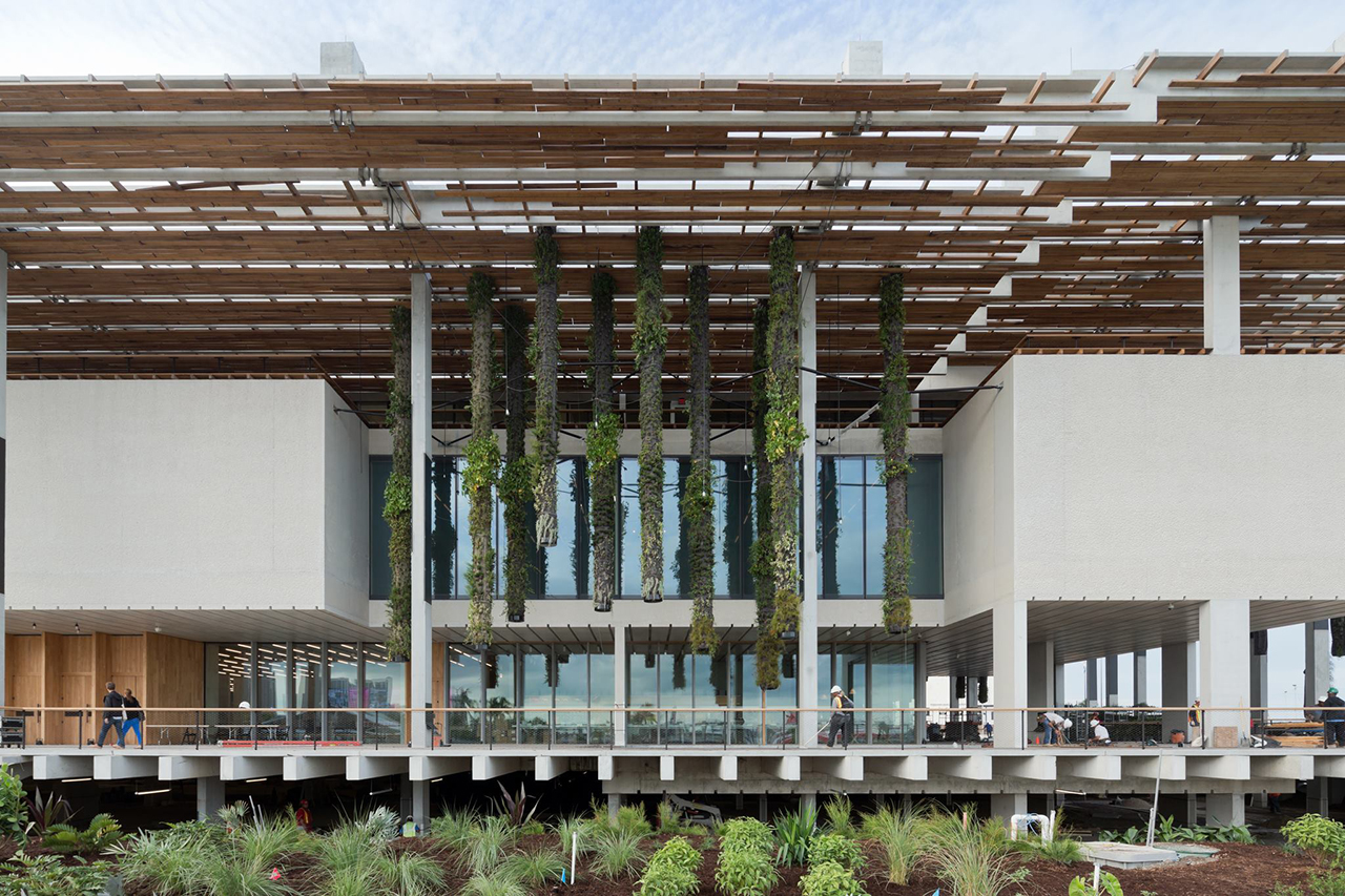 Pérez Art Museum In Miami By Herzog & De Meuron. | METALOCUS