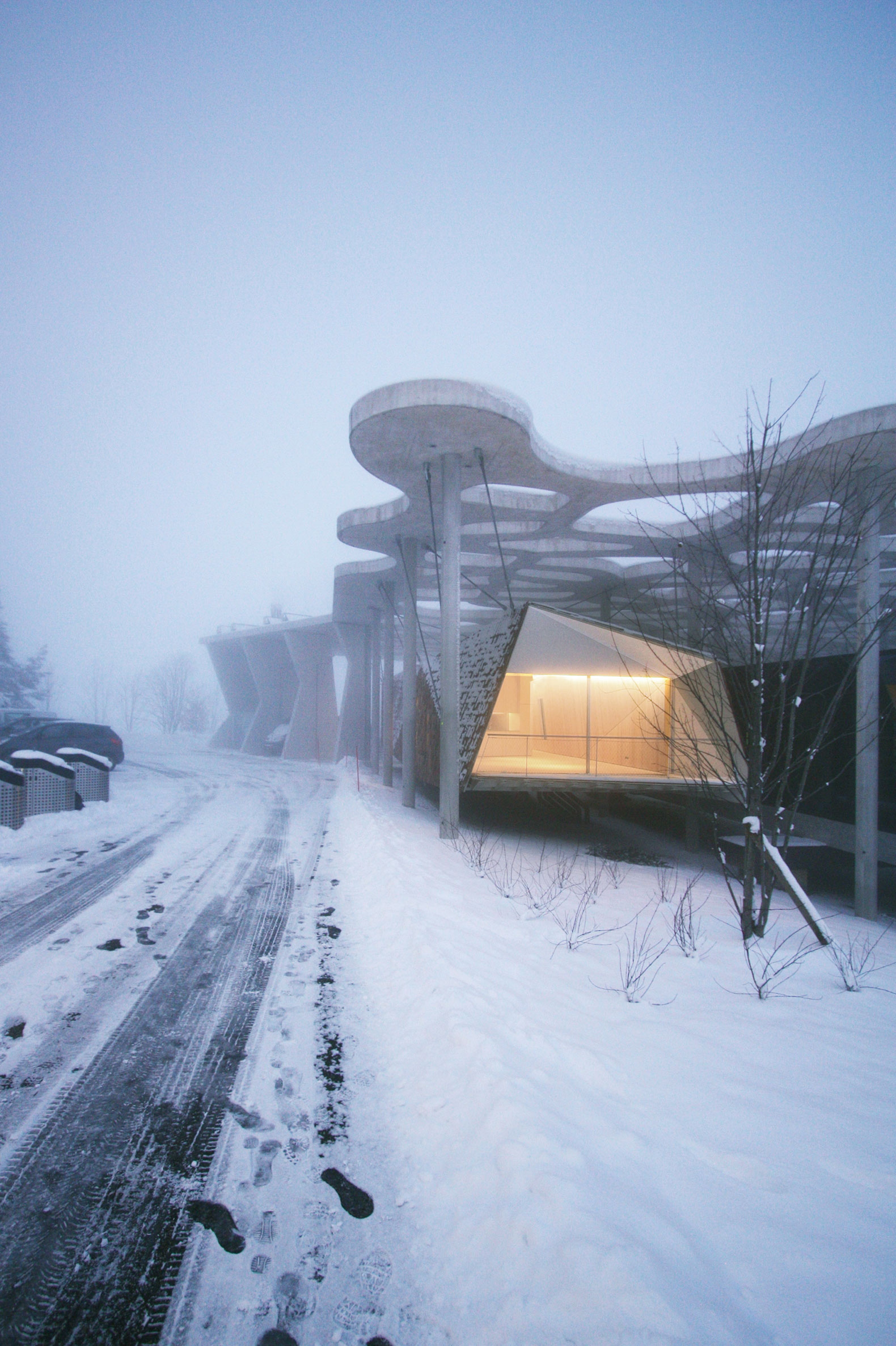 Vivienda anidada. Suspended Forest por Kengo Kuma and Associates. Fotografía por CAP Images