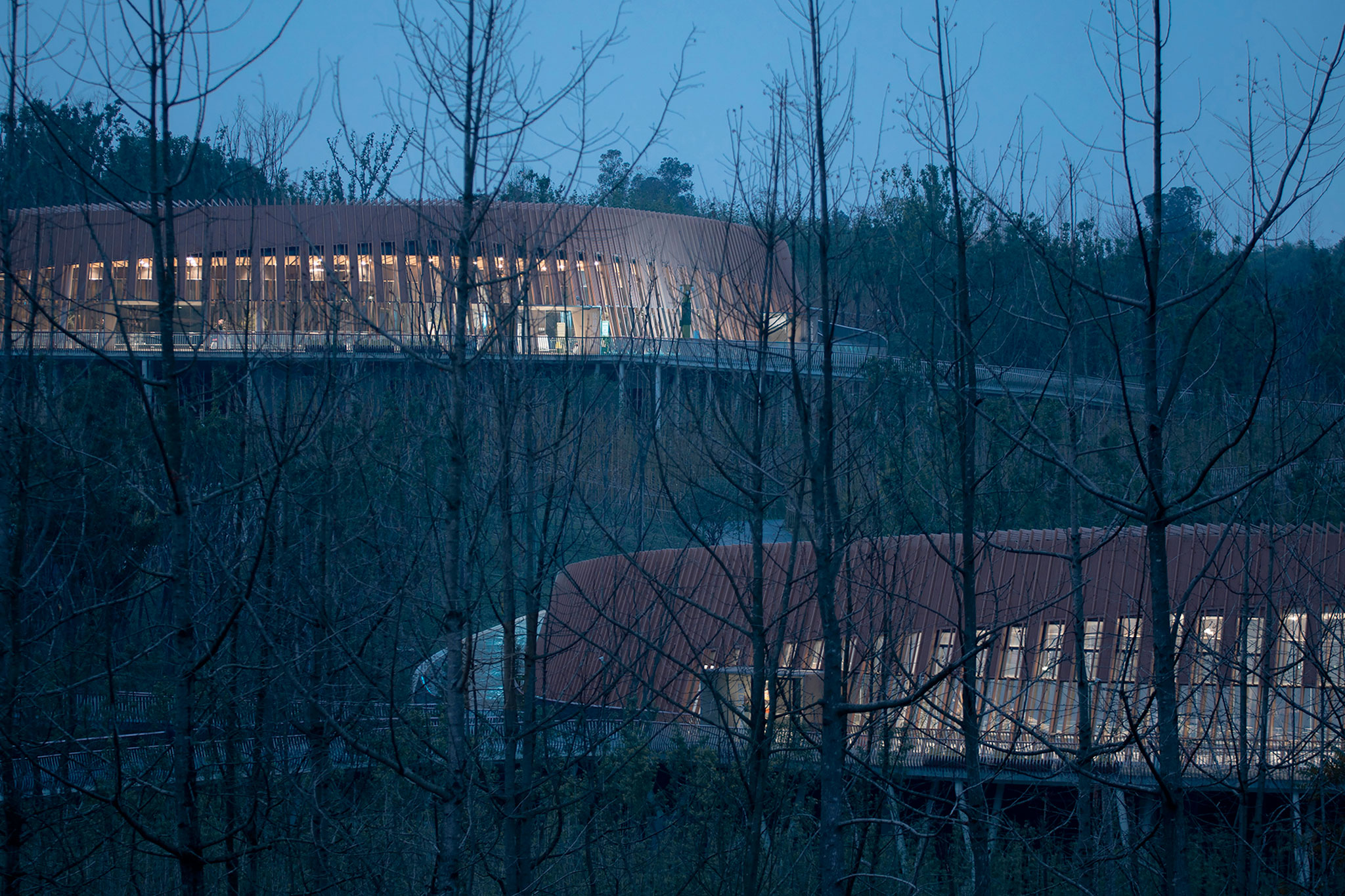 Cuatro Pabellones Panda por Atelier Ping Jiang | EID Arch. Fotografía por XIMUImage.