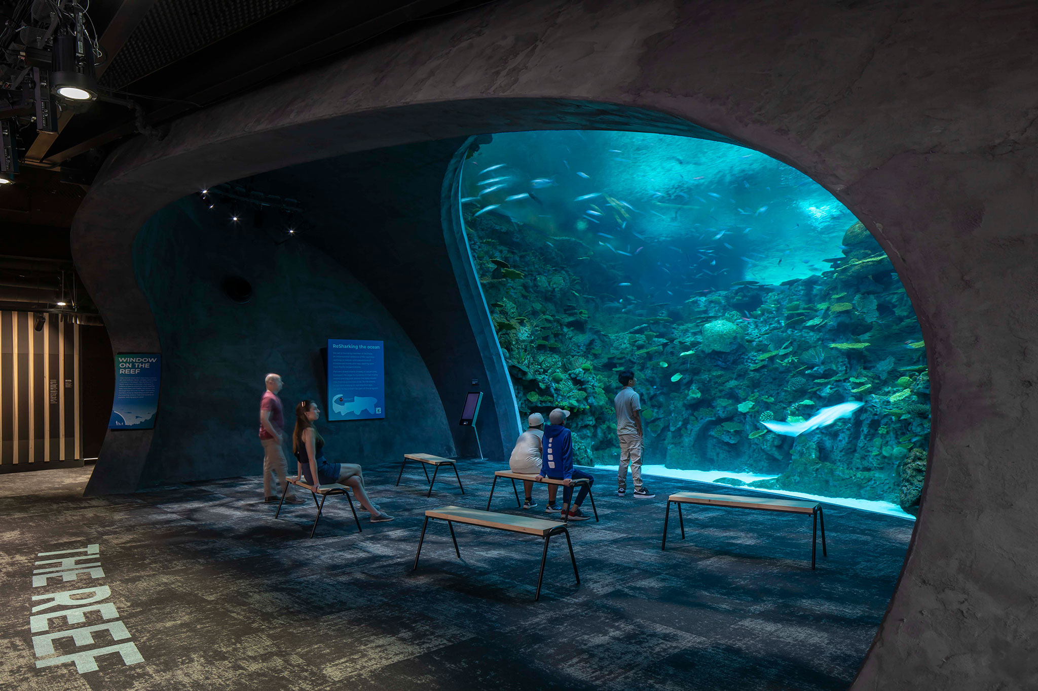 Pabellón Oceánico del Acuario de Seattle por LMN Architects. Fotografía por Lara Swimmer/Esto.