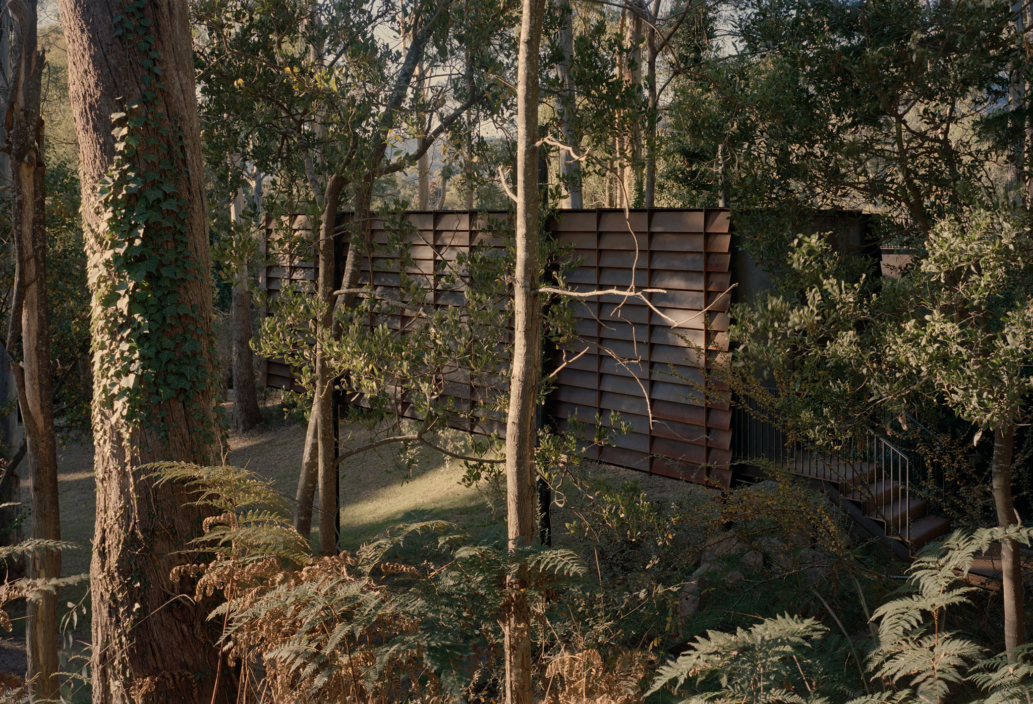 Sawmill treehouse by Robbie Walker. Photograph by Tasha Tylee.