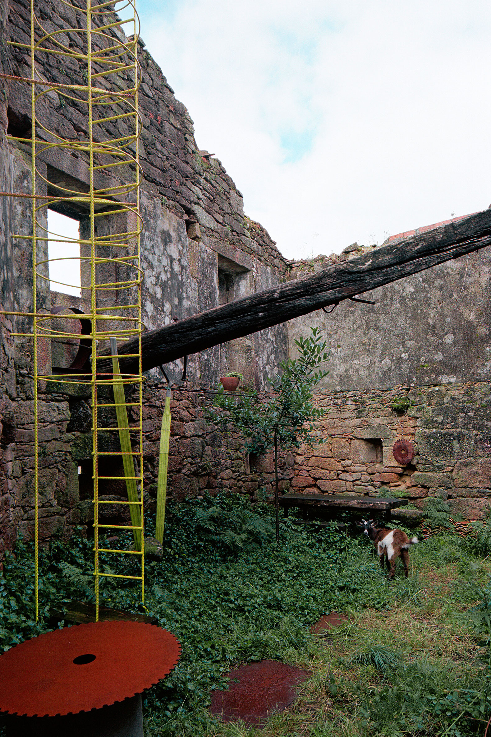 El Jardín de Panchés por Arturo Franco. Fotografía por Luis Díaz Díaz.