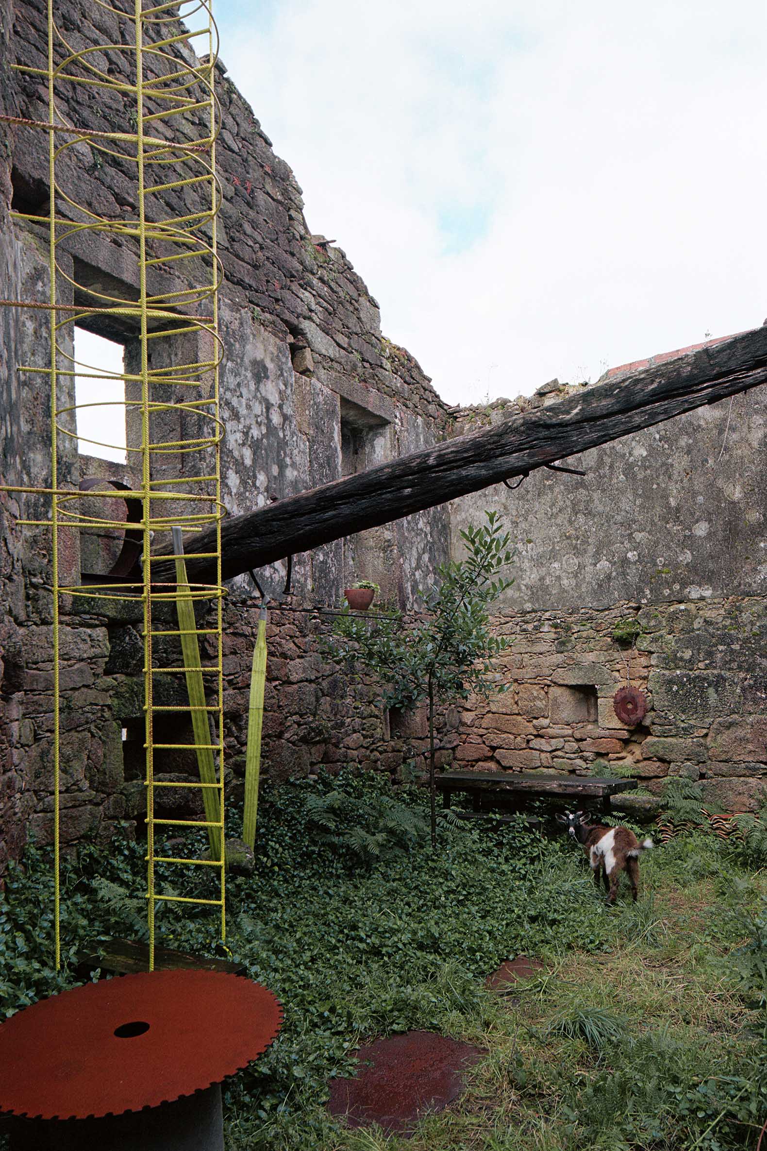 The Garden of Panchés by Arturo Franco. Photograph by Luis Díaz Díaz.