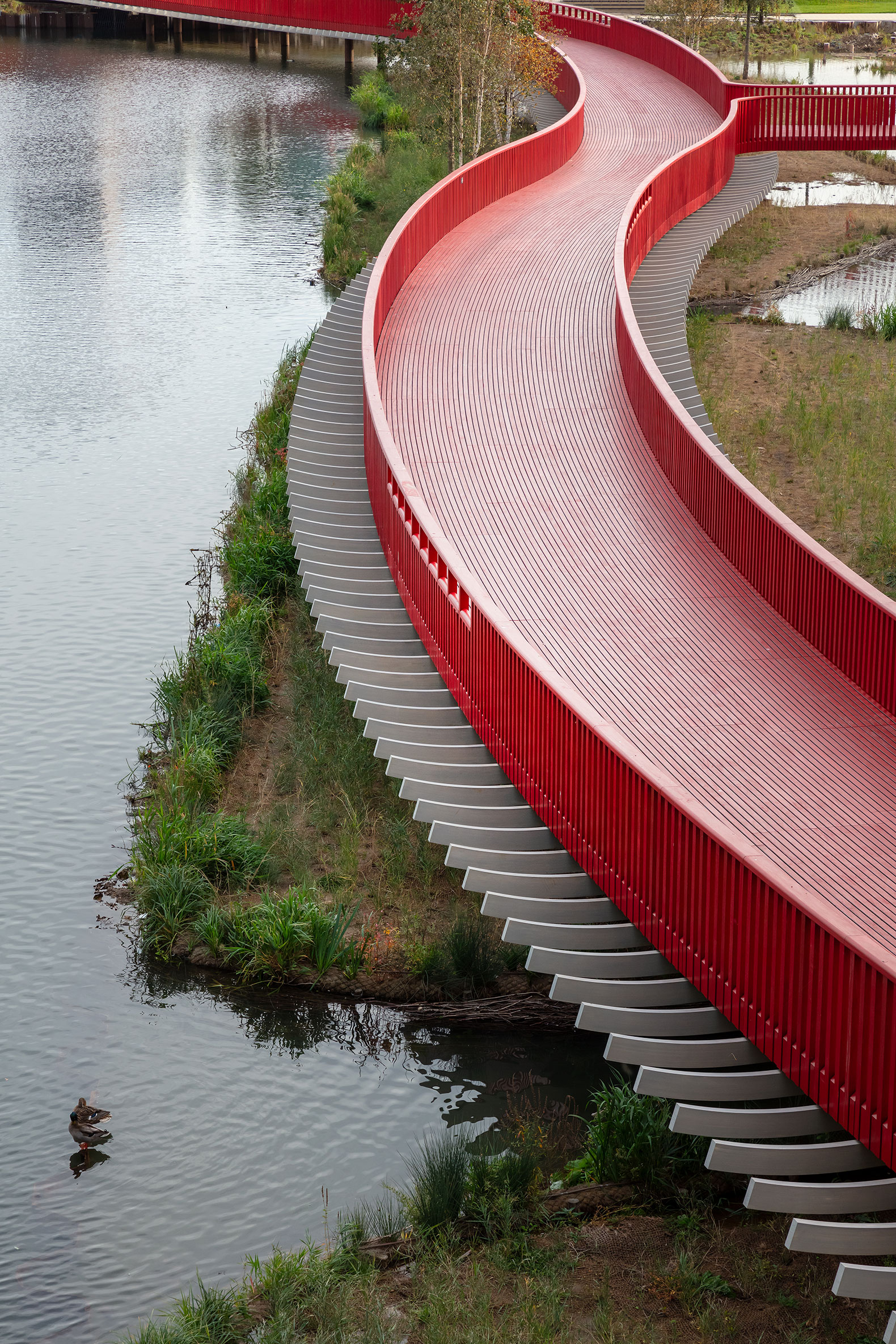 Paseo entablado en Canada Water por Asif Khan. Fotografía por Brendan Bell