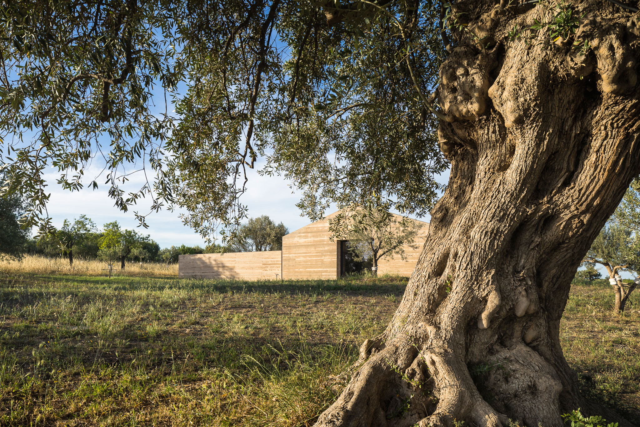 Bendico House by Gaëtan Le Penhuel architectes et associés. Photograph by Sergio Grazia.