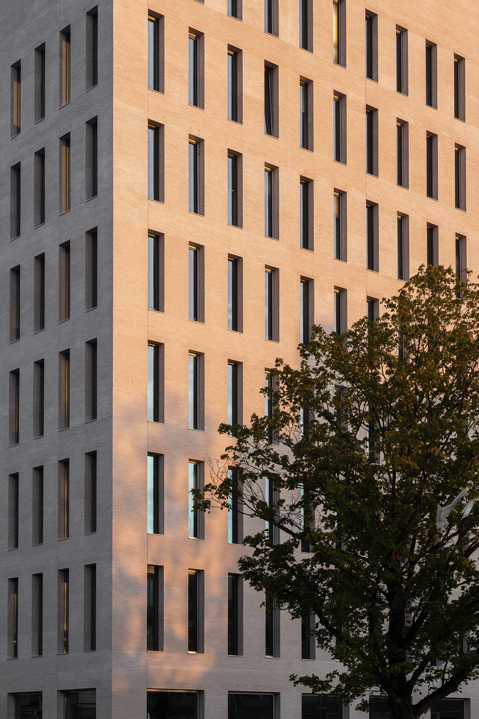 Education Centre University of Groningen by KAAN Architecten. Photograph by Marcel Ijzerman.  Centro educativo de la Universidad de Groningen por KAAN Architecten. Fotografía por Marcel Ijzerman.