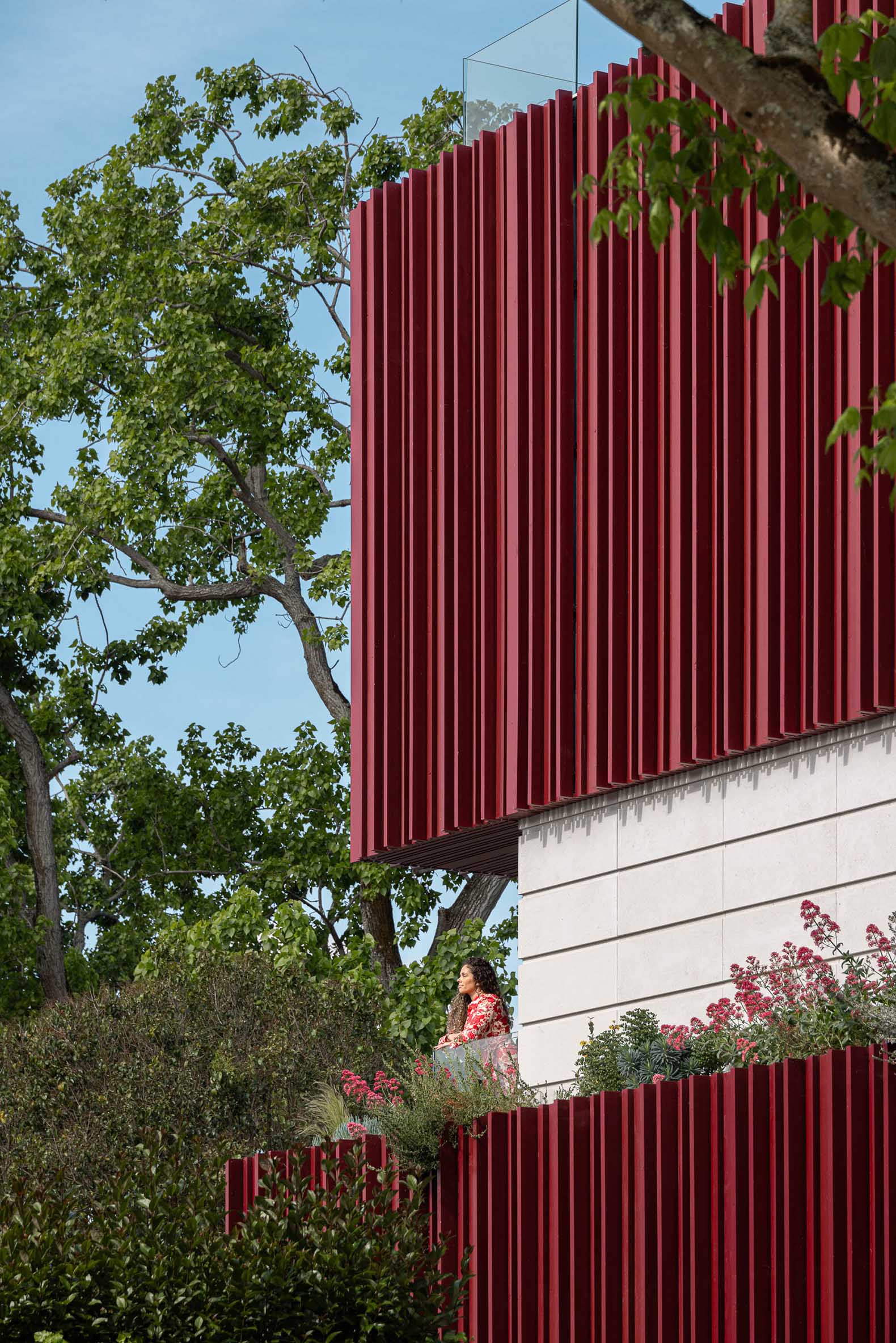 The Park House by Paulo Martins. Photograph by Ivo Tavares