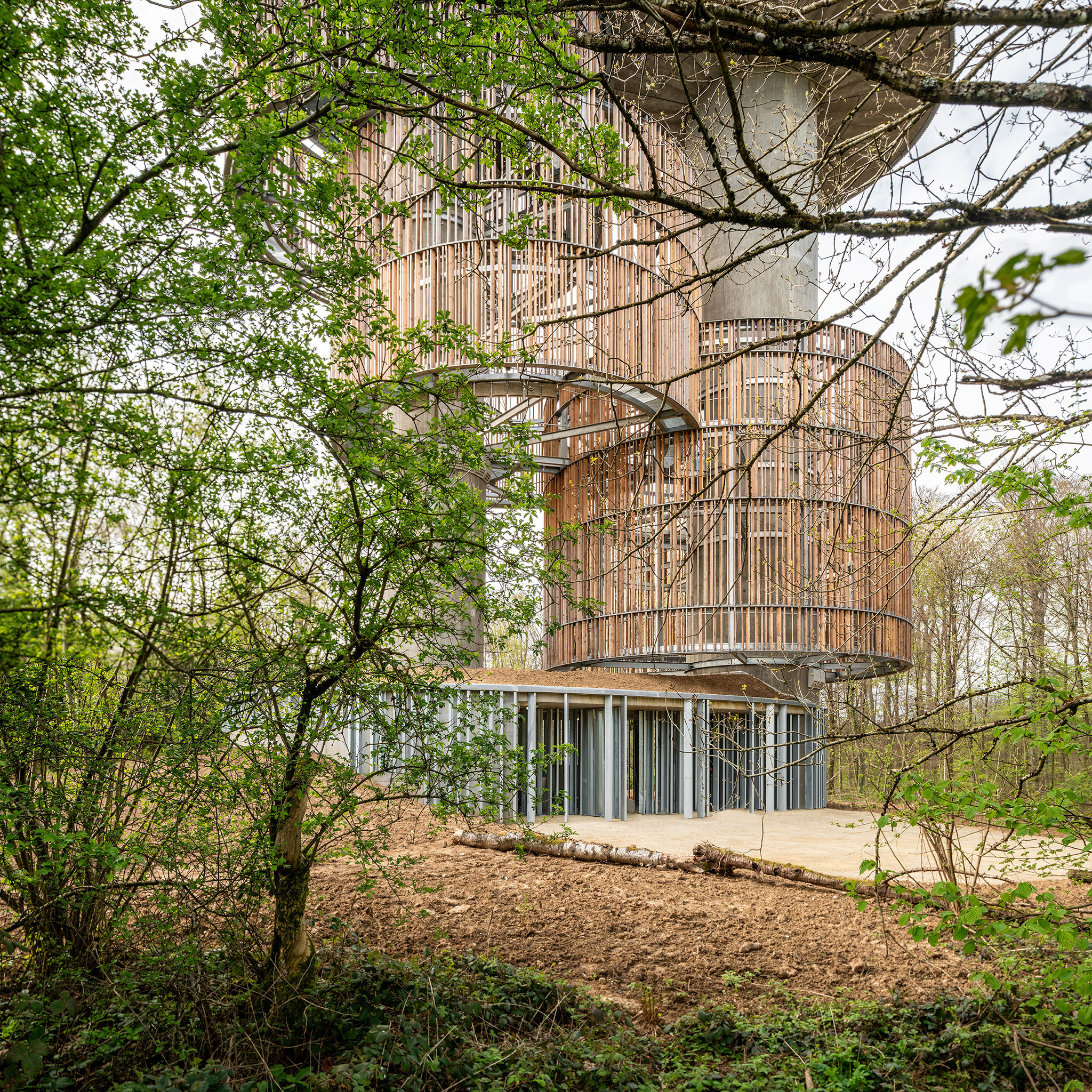 Bird and mammal refuge and water reservoir by Amann-Canovas-Maruri. Photograph by Miguel Fernández-Galiano.