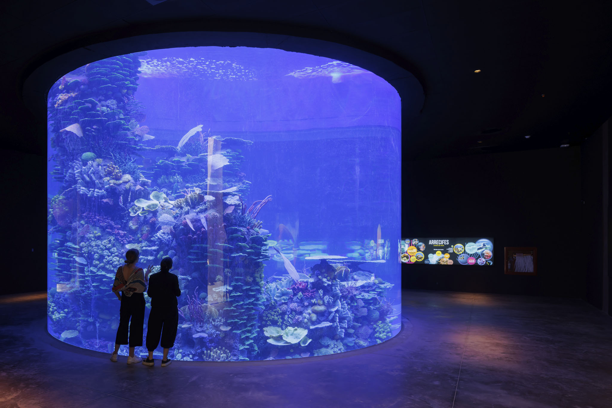 Aquarium on the shores of the Sea of Cortez by Tatiana Bilbao. Photograph by Iwan Baan.