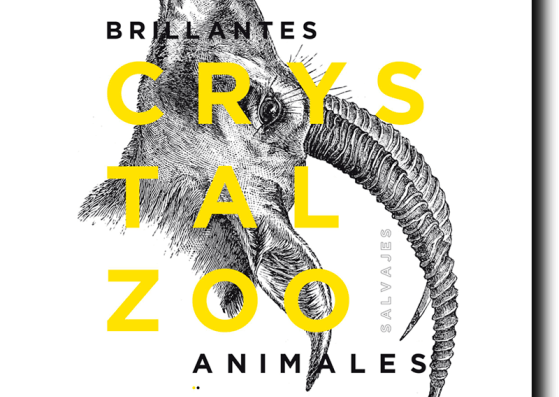 Cover. CrystalZoo. Sparkling Wild Animals by José Juan Barba, Cristina martínez y Jordi Navas. Image courtesy of Rafa Molina Planelles