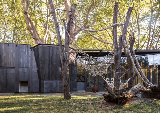 Hábitat de los orangutanes del Zoo de Barcelona por Forgas Arquitectes. Fotografía © Simón García