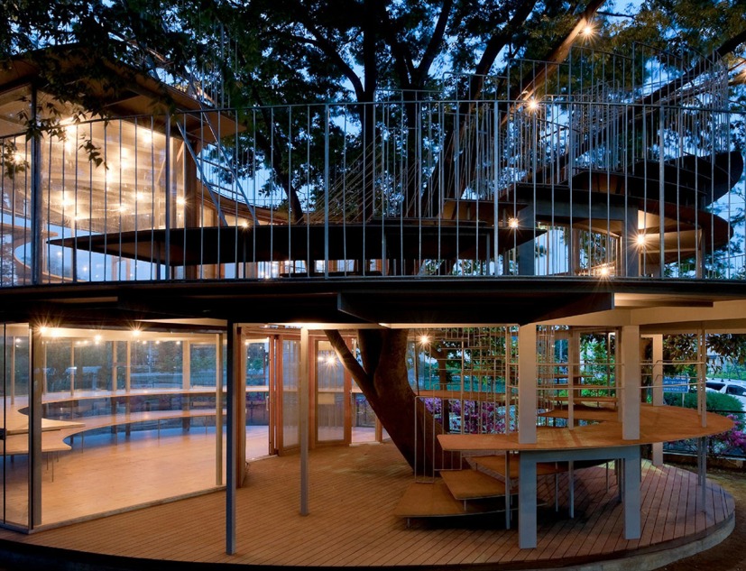 Ring Around a Tree by Tezuka Architects. Photo © Katsuhisa Kida/FOTOTECA.