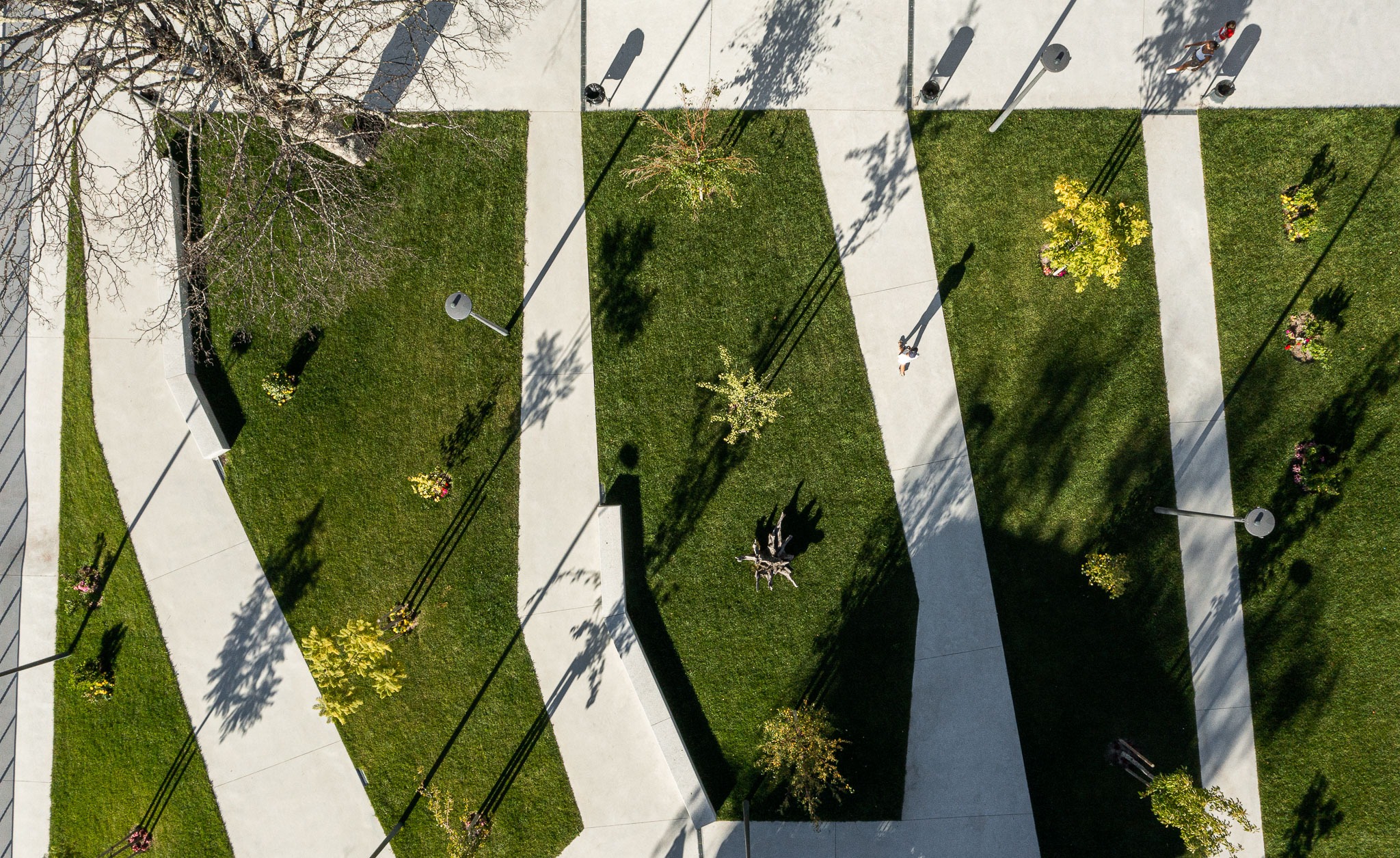 Plaza Municipal y entorno de Ribeira de Pena por AXR – Arquitetura e Design. Fotografía del Estudio Ivo Tavares.