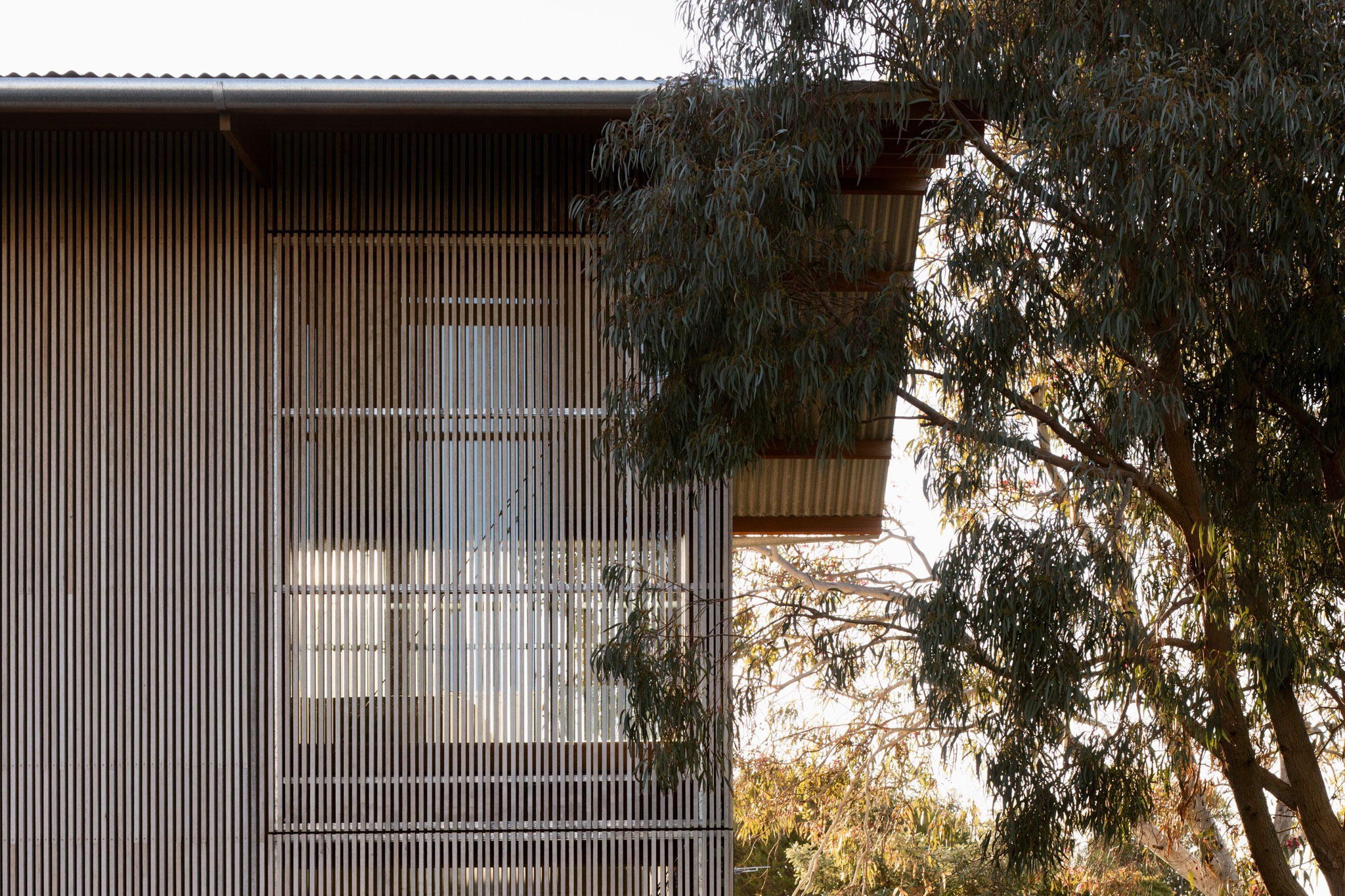 Estudio Jan Juc por Eldridge Anderson Architects. Fotografía por Ben Hosking. Jan Juc Studio by Eldridge Anderson Architects. Photograph by Ben Hosking.