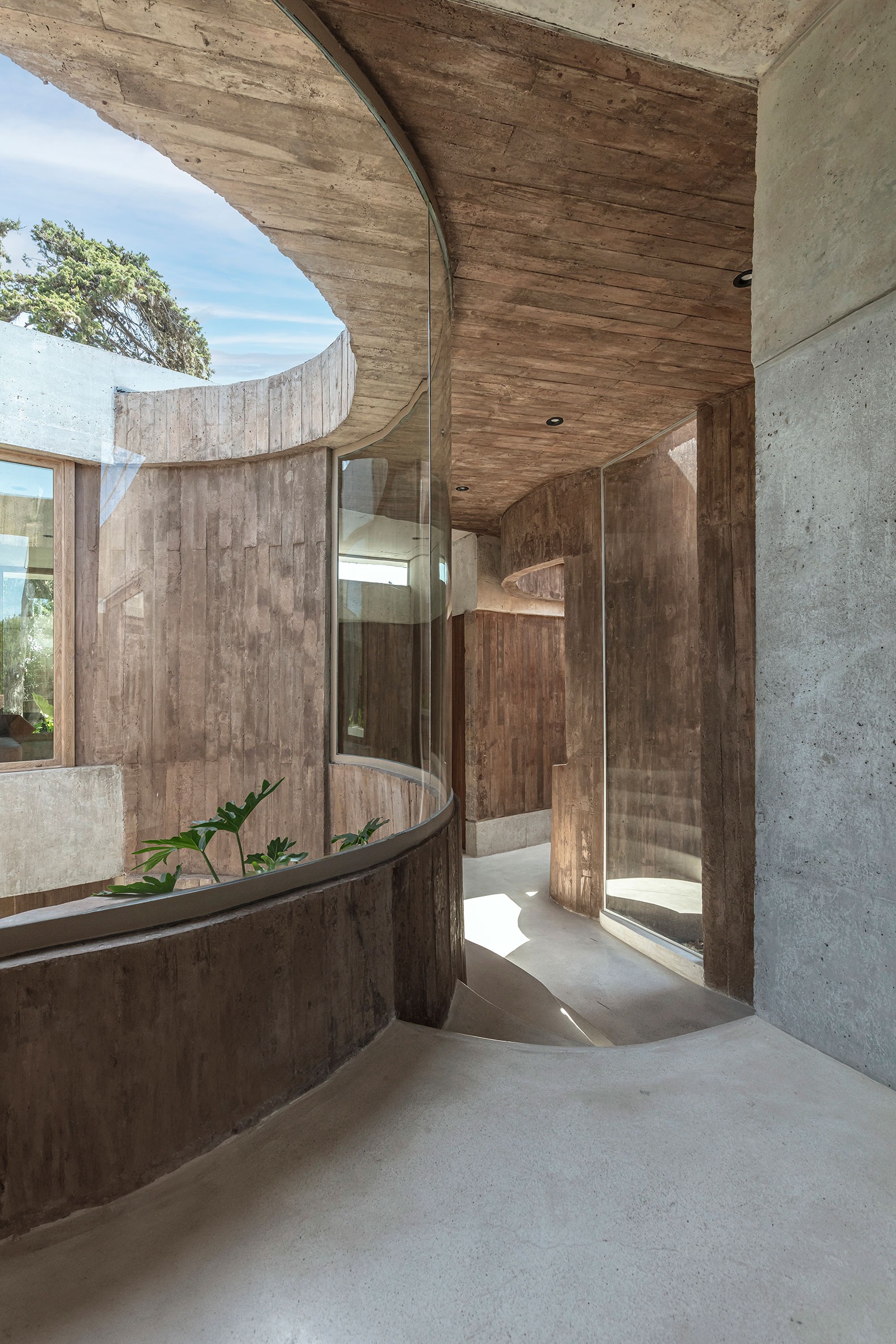 Forest House by GRIZZO Studio. Photograph by Federico Kulekdjian. Forest House by GRIZZO Studio. Photograph by Federico Kulekdjian.