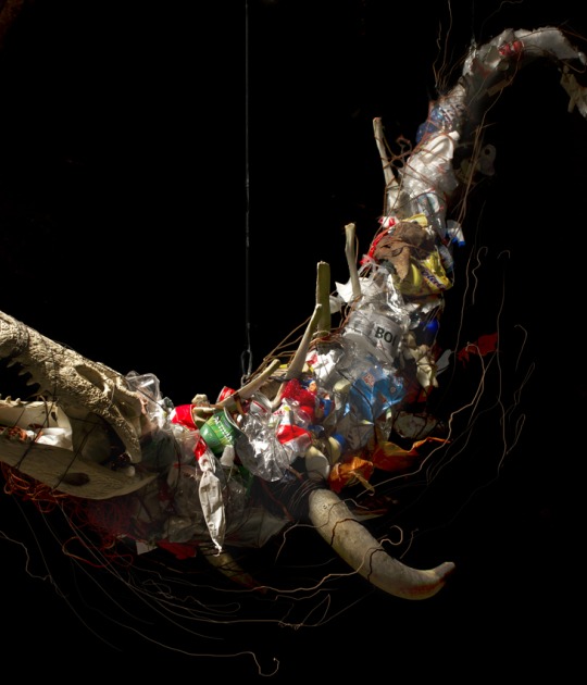 Sea Animal (2013). Hanging sculpture wich recalls to a sea animal. 2,3x1,5m. Crocodile skull, bull horns, bovine vertebrae, wire and garbage. Exhibition “Toxic Life. We are nature in toxic evolution”. Photography © Carlos Bellvehí Sea Animal (2013). Hanging sculpture wich recalls to a sea animal. 2,3x1,5m. Crocodile skull, bull horns, bovine vertebrae, wire and garbage. Exhibition “Toxic Life. We are nature in toxic evolution”. Photography © Carlos Bellvehí