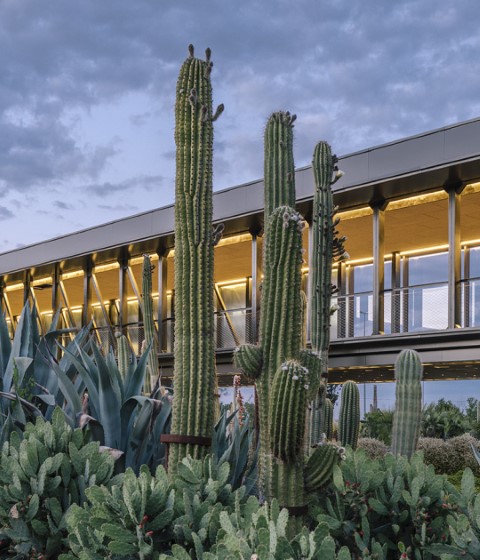 Desert City by GarciaGerman Arquitectos. Photograph © Imagen Subliminal (Miguel de Guzmán + Rocío Romero) Desert City by GarciaGerman Arquitectos. Photograph © Imagen Subliminal (Miguel de Guzmán + Rocío Romero)