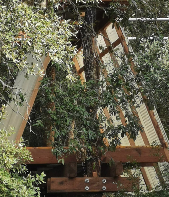 Design, build and inhabit a temporal refuge during the health emergency by Joan Martí Morro Capllonch. Photograph by Joan Martí Morro Capllonch Design, build and inhabit a temporal refuge during the health emergency by Joan Martí Morro Capllonch. Photograph by Joan Martí Morro Capllonch