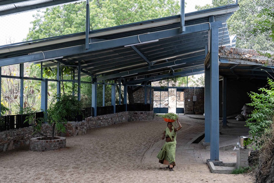 Cowshed by Studio SAAR. Photograph by Ananya Singhal, Studio Saar Cowshed by Studio SAAR. Photograph by Ananya Singhal, Studio Saar