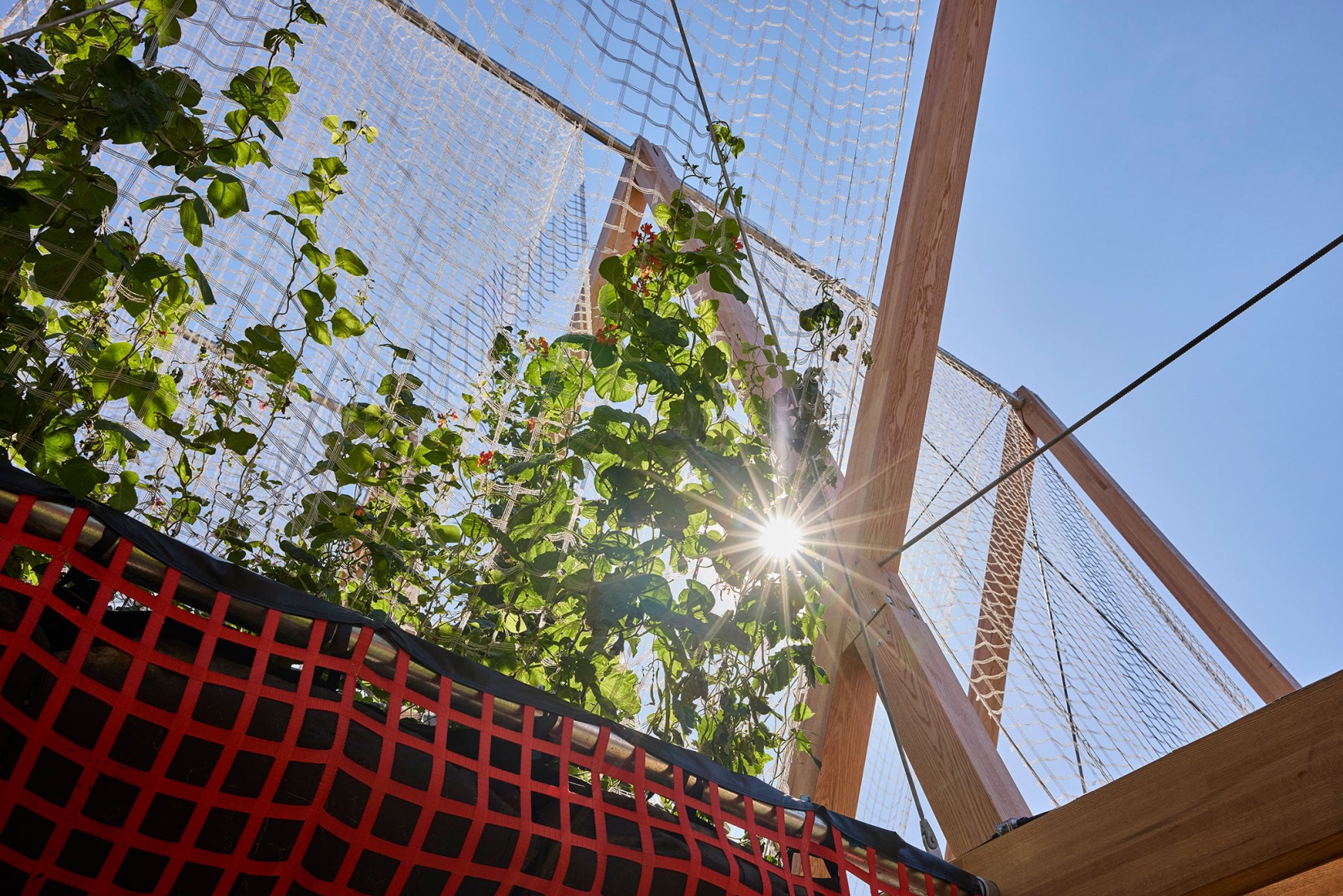 Vert Pavilion, towards a cooler and greener city, by Diez Office. Photograph by Petr Krejci. Vert Pavilion, towards a cooler and greener city, by Diez Office. Photograph by Petr Krejci.