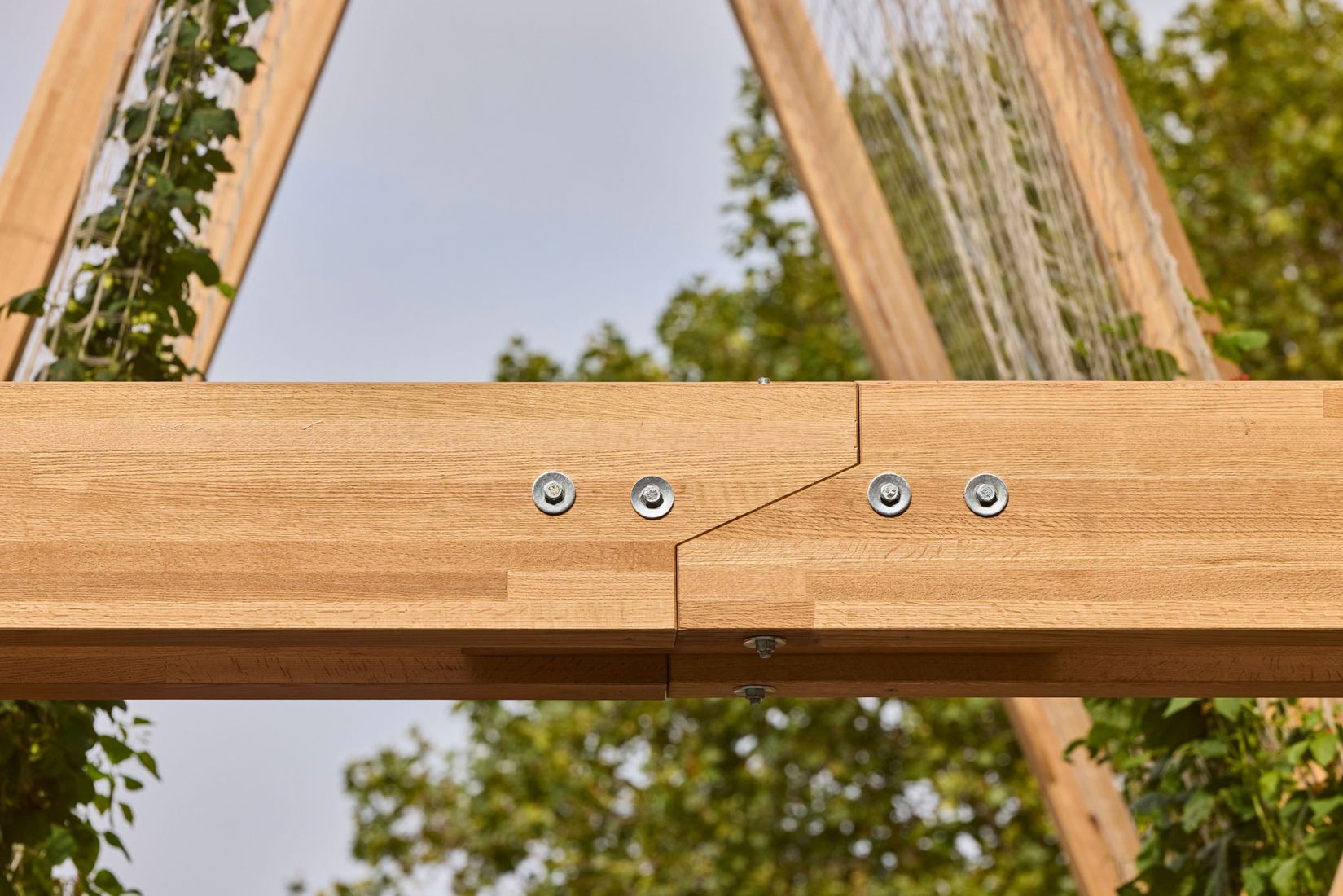 Vert Pavilion, towards a cooler and greener city, by Diez Office. Photograph by Petr Krejci. Vert Pavilion, towards a cooler and greener city, by Diez Office. Photograph by Petr Krejci.