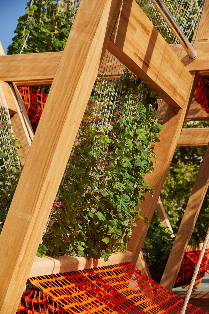 Vert Pavilion, towards a cooler and greener city, by Diez Office. Photograph by Ed Reeve. Vert Pavilion, towards a cooler and greener city, by Diez Office. Photograph by Ed Reeve.