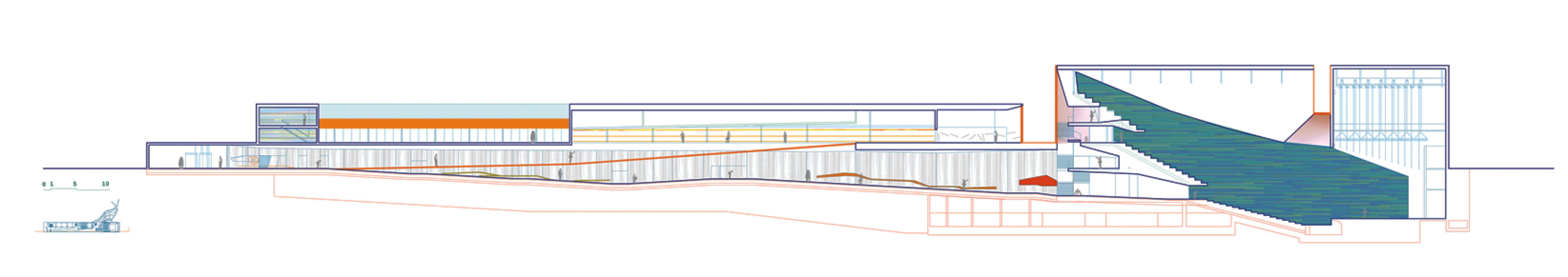 Longitudinal section. 01