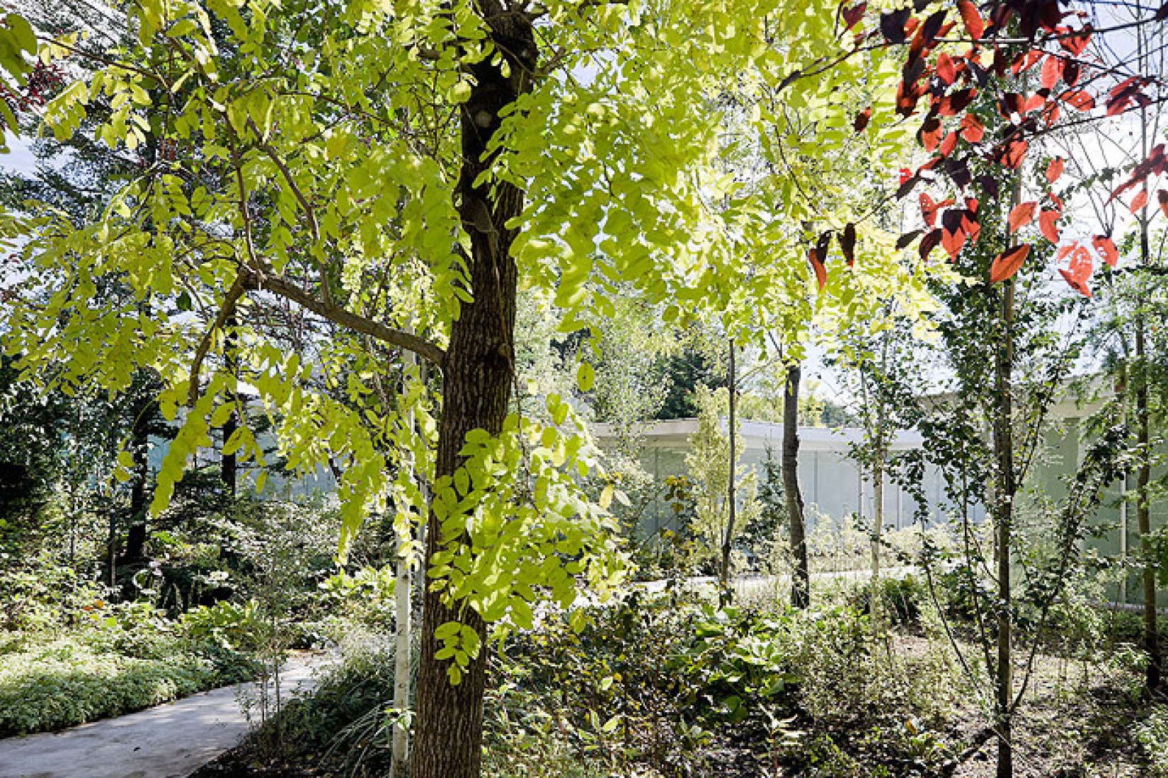 Gardens. Photography © Iwan Baan.