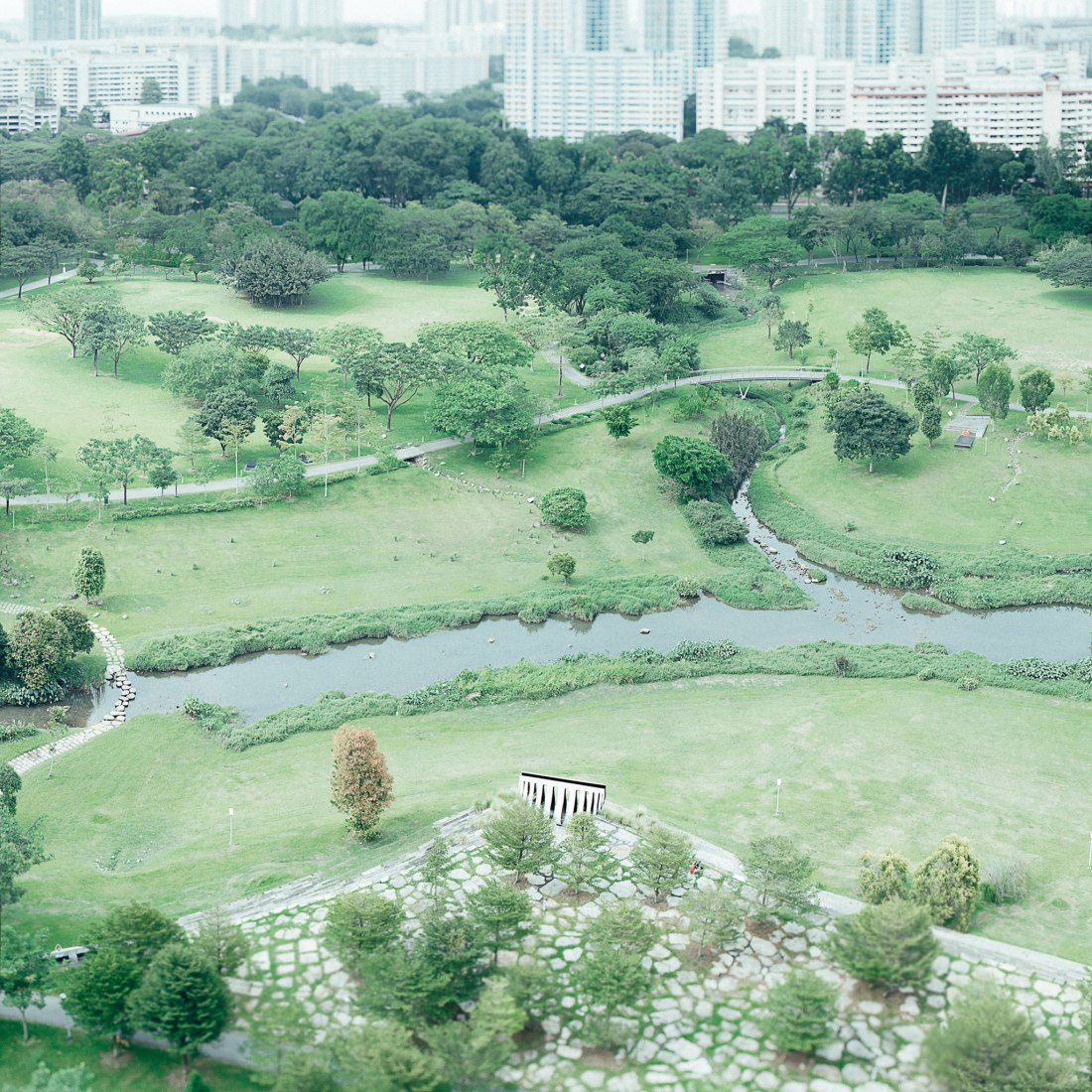 "¿No más espacio libre? Deshacemos el desagüe "- Bishan-Ang Mo Kio Park. Imagen cortesía del Pabellón de Singapur, 16ª Exposición Internacional de Arquitectura, La Biennale di Venezia