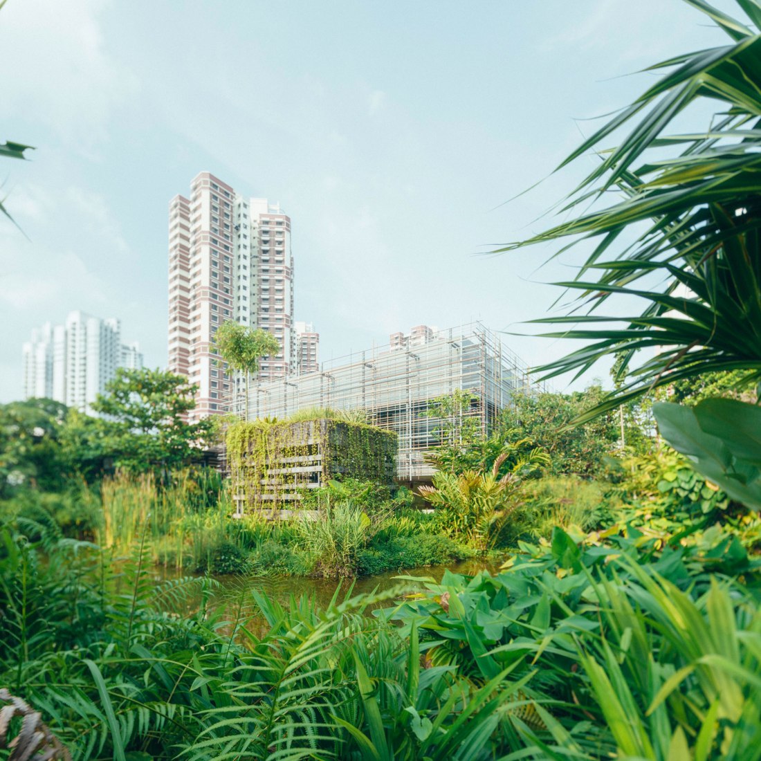 "No más espacio libre? Nos apuntamos al proceso de Reactualizar y Reutilizar "- Habilitación de Village. Imagen cortesía del Pabellón de Singapur, 16ª Exposición Internacional de Arquitectura, La Biennale di Venezia