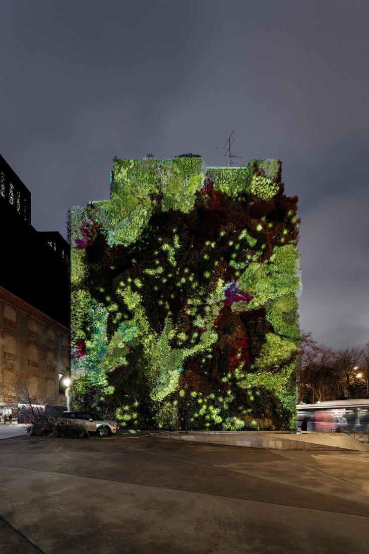 Electric Green en el muro verde de Caixa Forum por Mayice