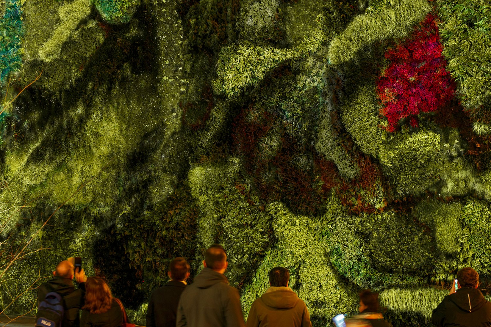 Electric Green en el muro verde de Caixa Forum por Mayice