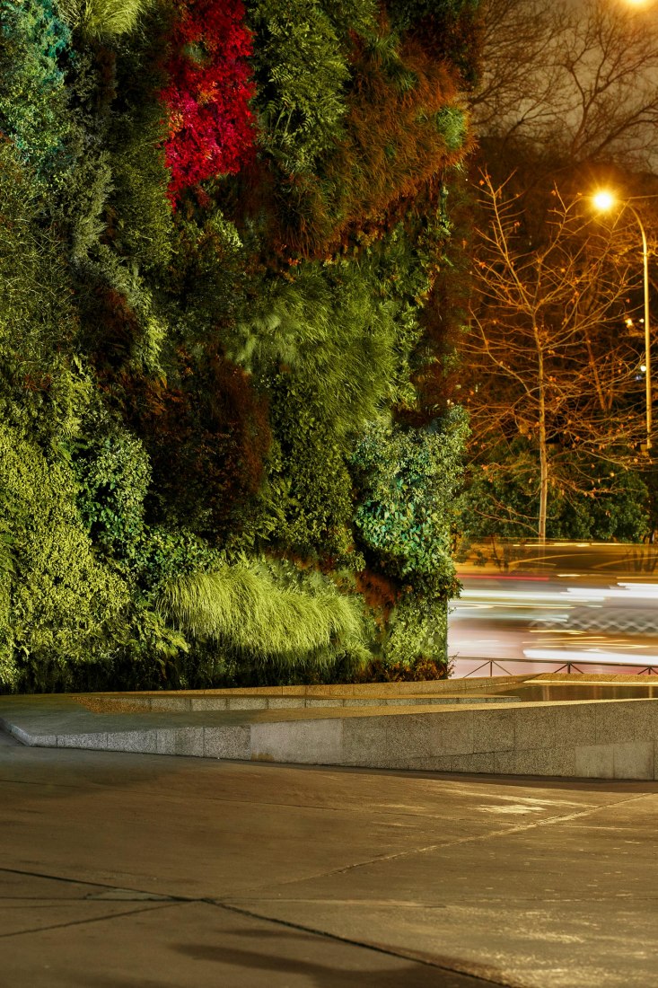 Electric Green en el muro verde de Caixa Forum por Mayice