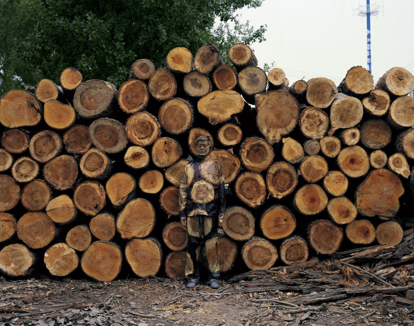 Hiding in the City No. 88- Sawmill, 2010, © Liu Bolin