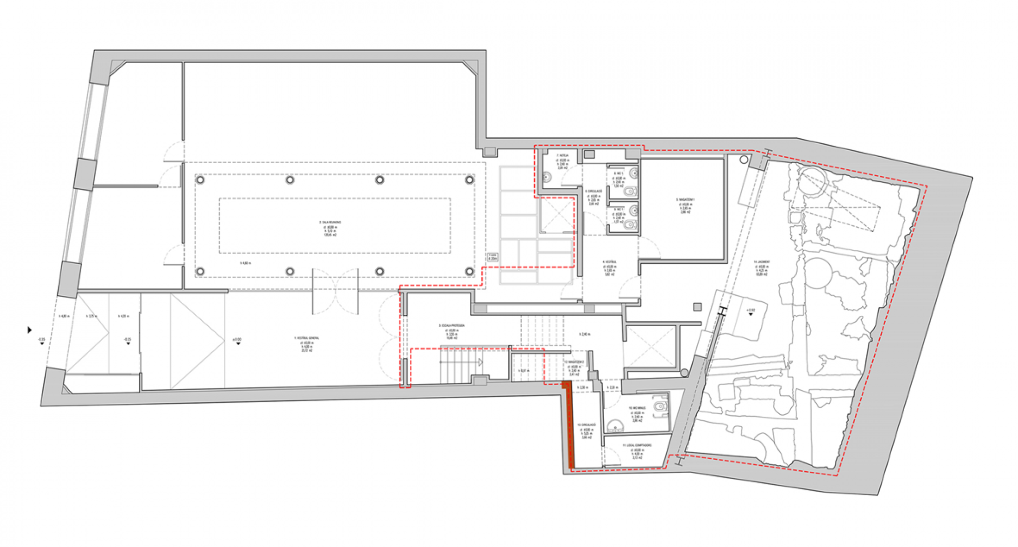 Previous plan. Suitability of the Domus Avinyó site by Vora Arquitectura. 