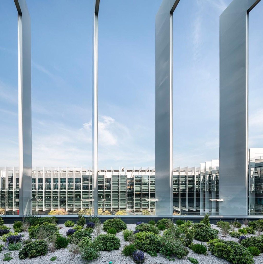 Campus Repsol de Madrid, por Rafael de La-Hoz Arquitectos. Fotografía © Filippo Poli. 