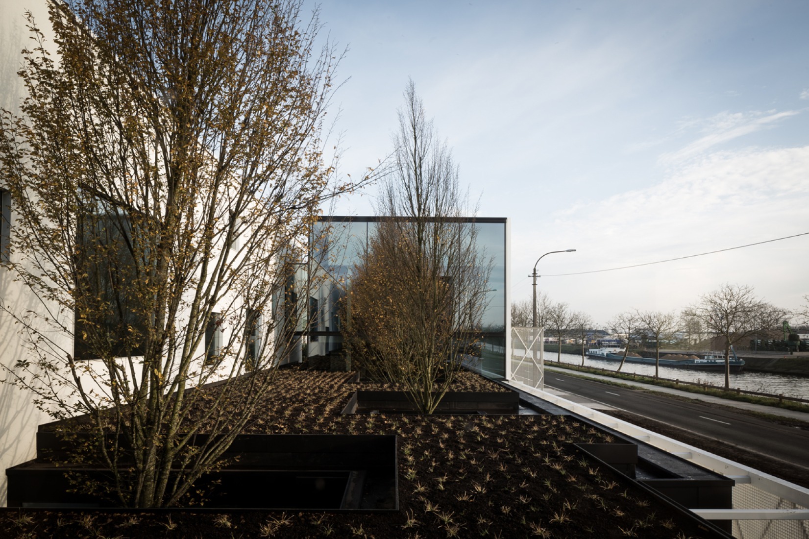 View of the green roof. Office LL by Caan Architecten. Photograph © Thomas De Bruyne – Cafeine.