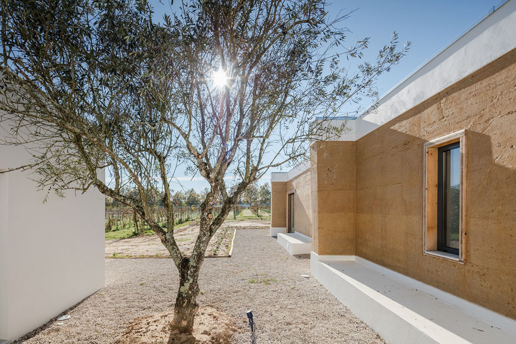 Exterior view of the plot. Vineyard house by Blaanc. Photography © João Morgado