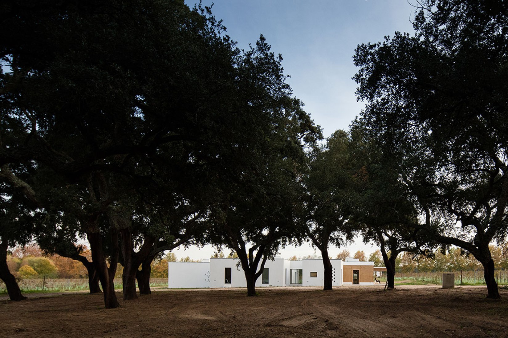 Exterior view. Vineyard house by Blaanc. Photography © João Morgado.