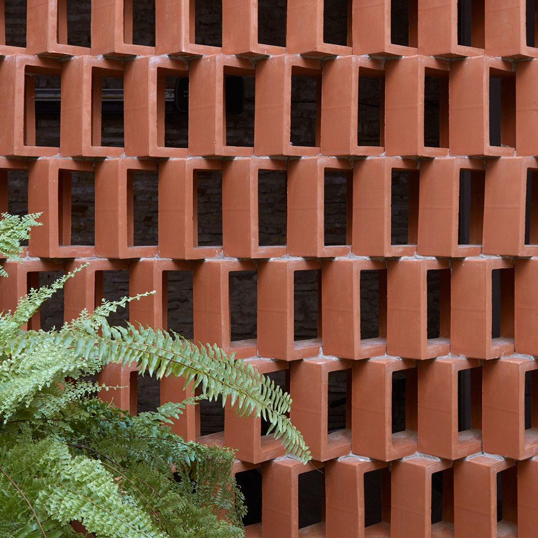 Vista interior. Casa Flora por Gradolí & Sanz. Fotografía © Mariela Apollonio.