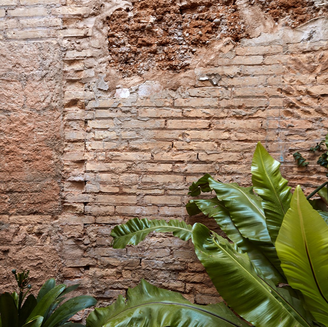 Vista interior. Casa Flora por Gradolí & Sanz. Fotografía © Mariela Apollonio.