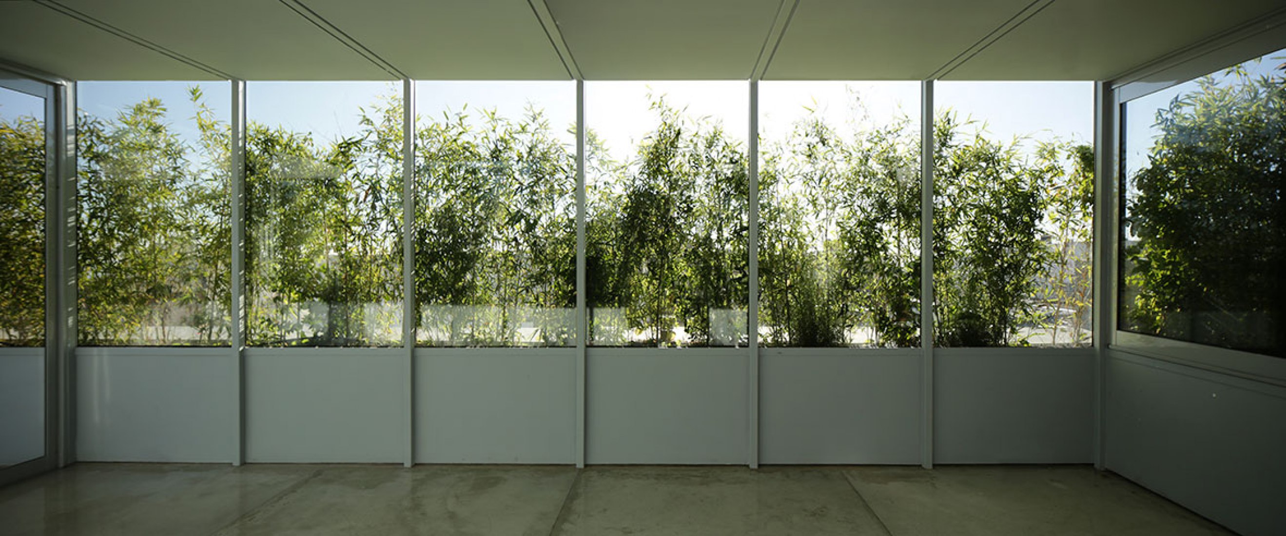 Inside view. Piñeiro house by Adamo-Faiden. Photography by Adamo-Faiden.