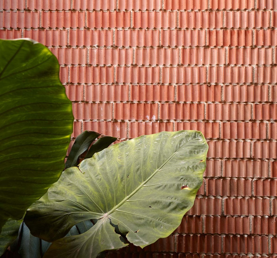 Inside view. Ricart house by Gradolí&Sanz. Photography © Mariela Apollonio.