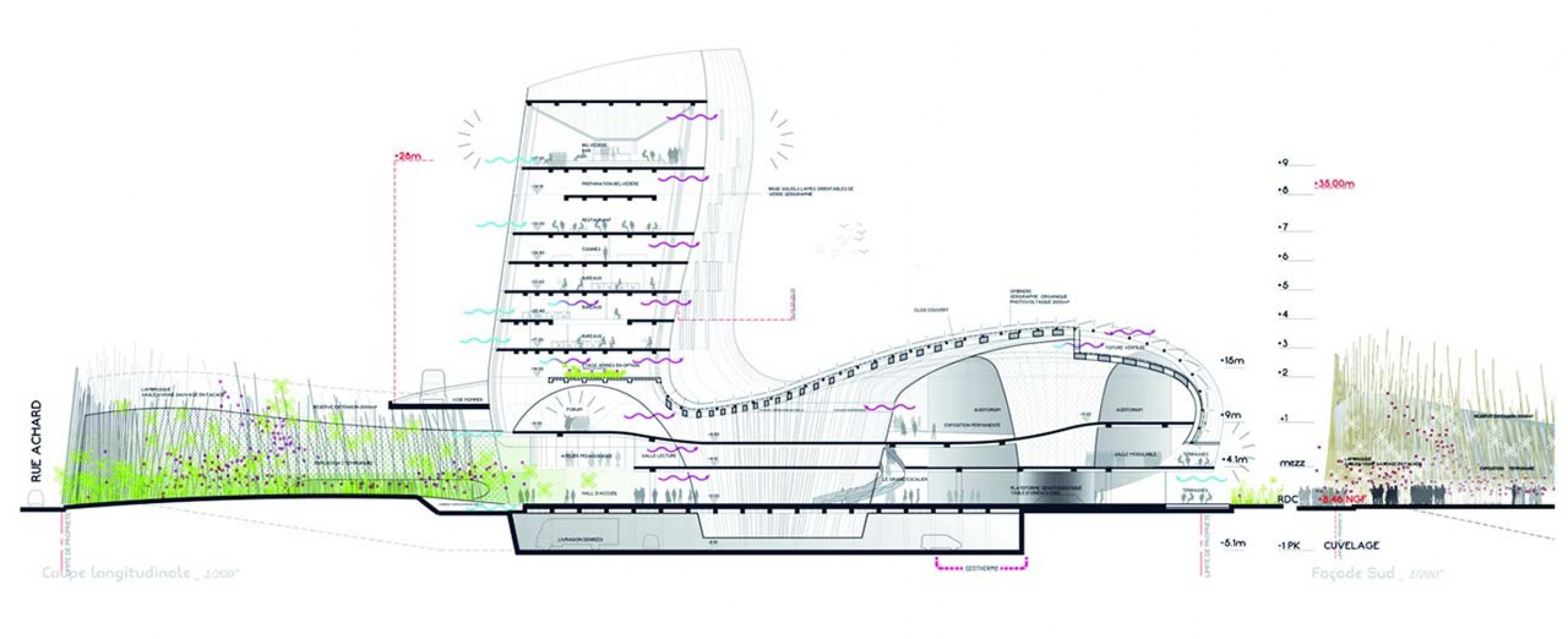 Long section. Cité du Vin by X-TU.