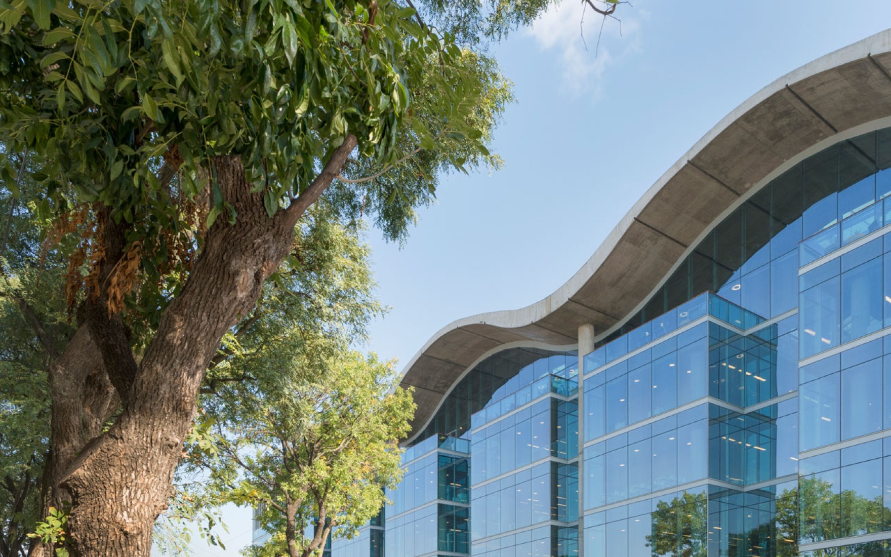 New City Hall in Buenos Aires by Foster + Partners. Image courtesy of Foster + Partners.