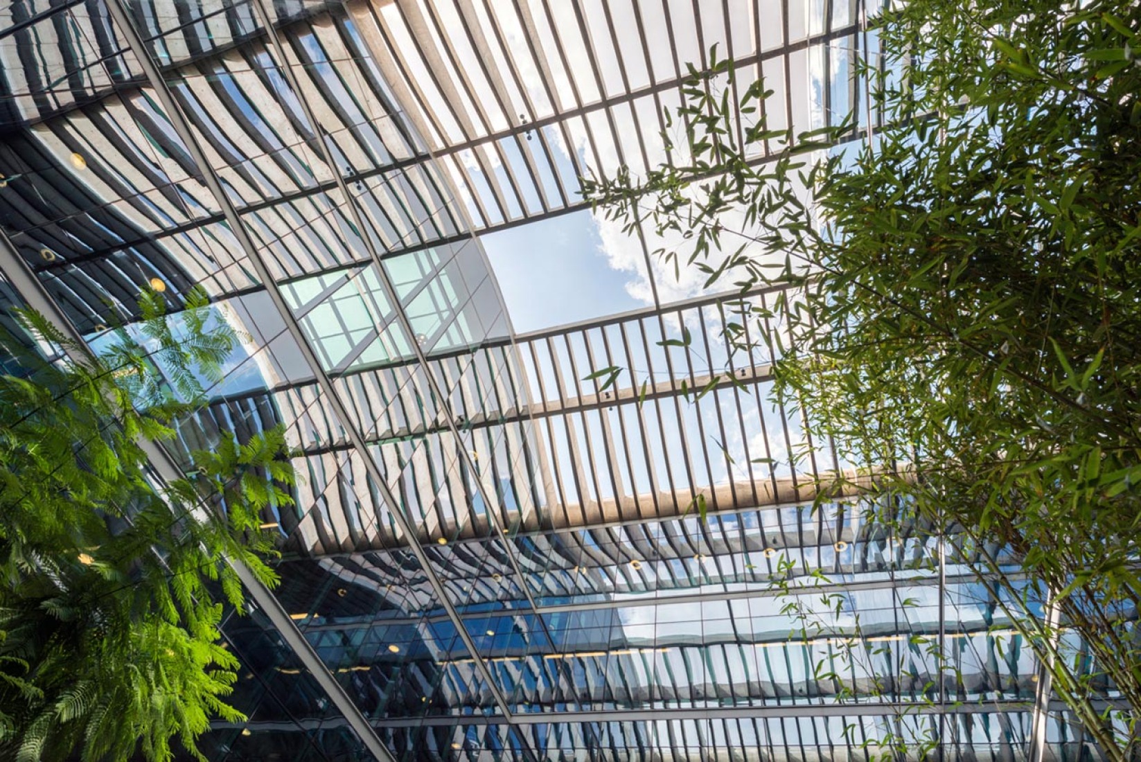 New City Hall in Buenos Aires by Foster + Partners. Image courtesy of Foster + Partners.