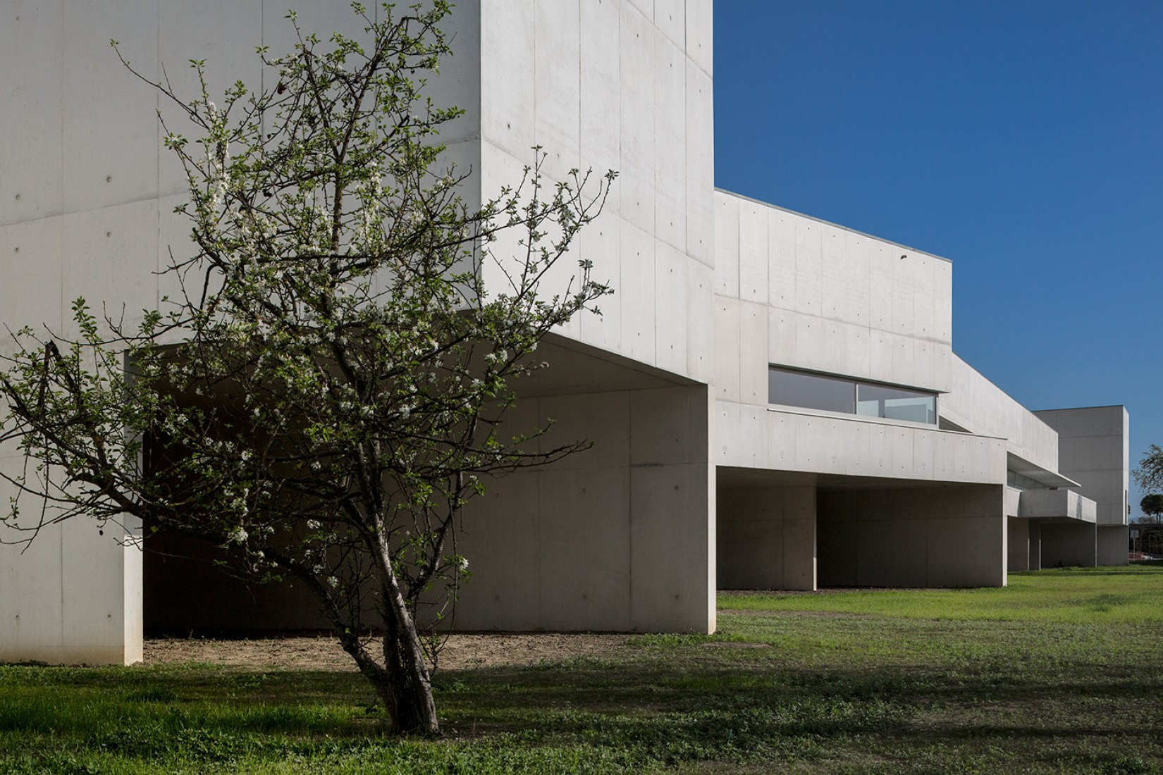 Vista exterior. Museo de Arte Contemporáneo Nadir Afonso por Álvaro Siza. Fotografía cortesía de FG+SG © Fernando Guerra.