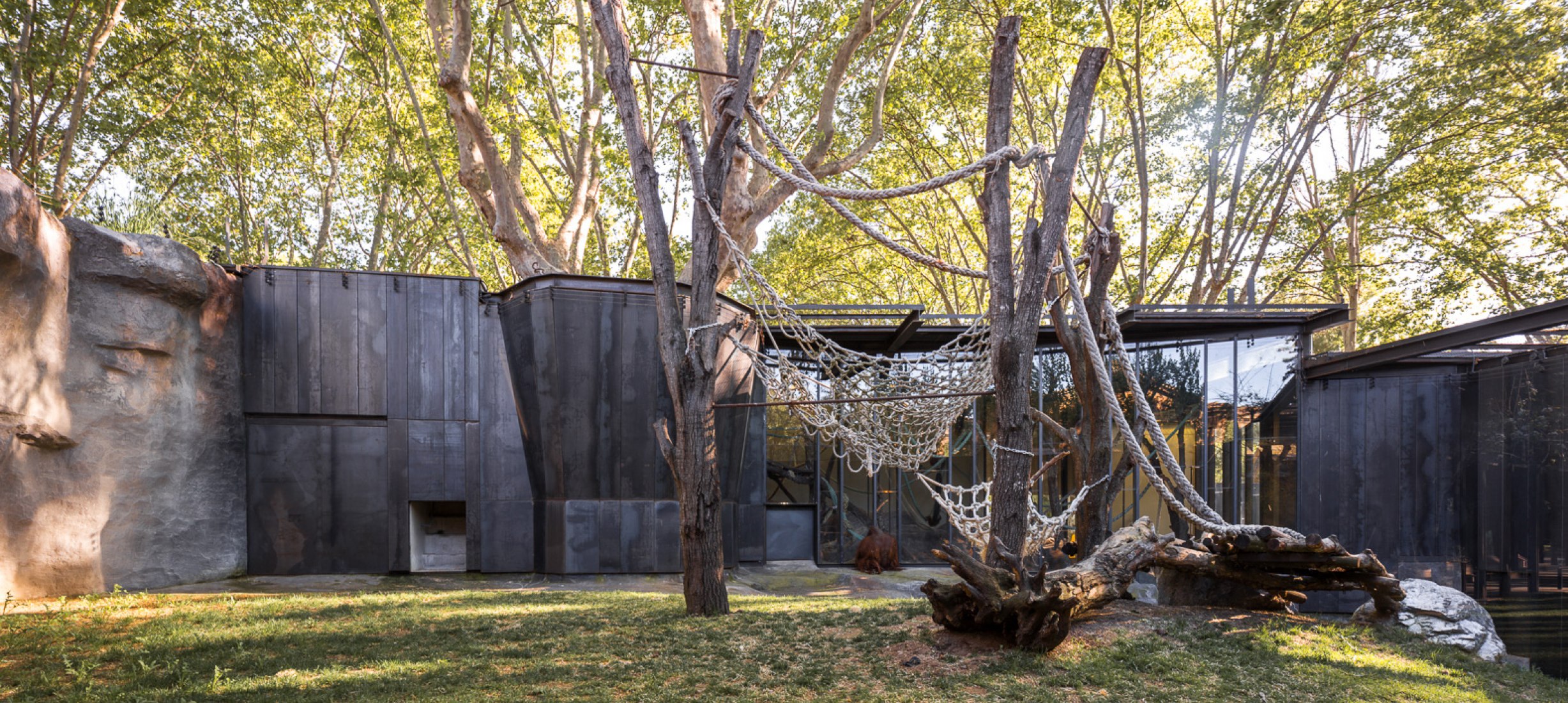 Barcelona Zoo orangutans habitat by Forgas Arquitectes. Photography © Simón García. Barcelona Zoo orangutans habitat by Forgas Arquitectes. Photography © Simón García