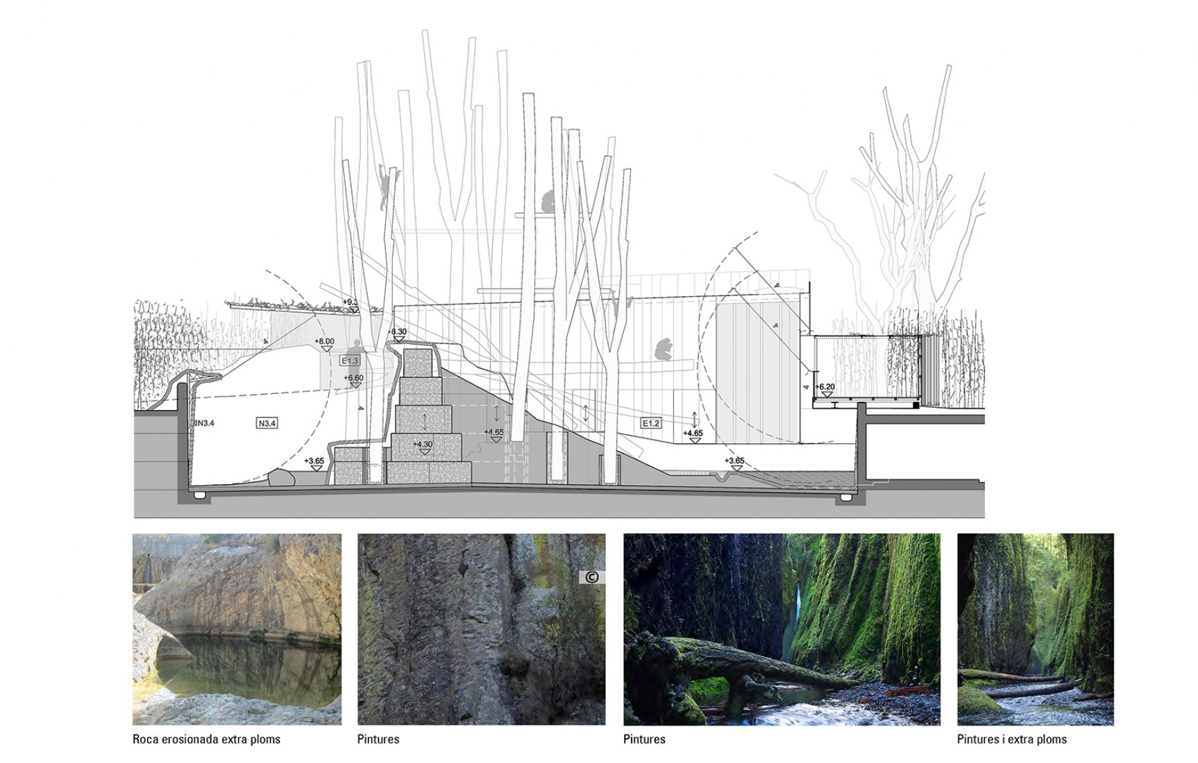 Section. Barcelona Zoo orangutans habitat by Forgas Arquitectes.  Section. Barcelona Zoo orangutans habitat by Forgas Arquitectes.