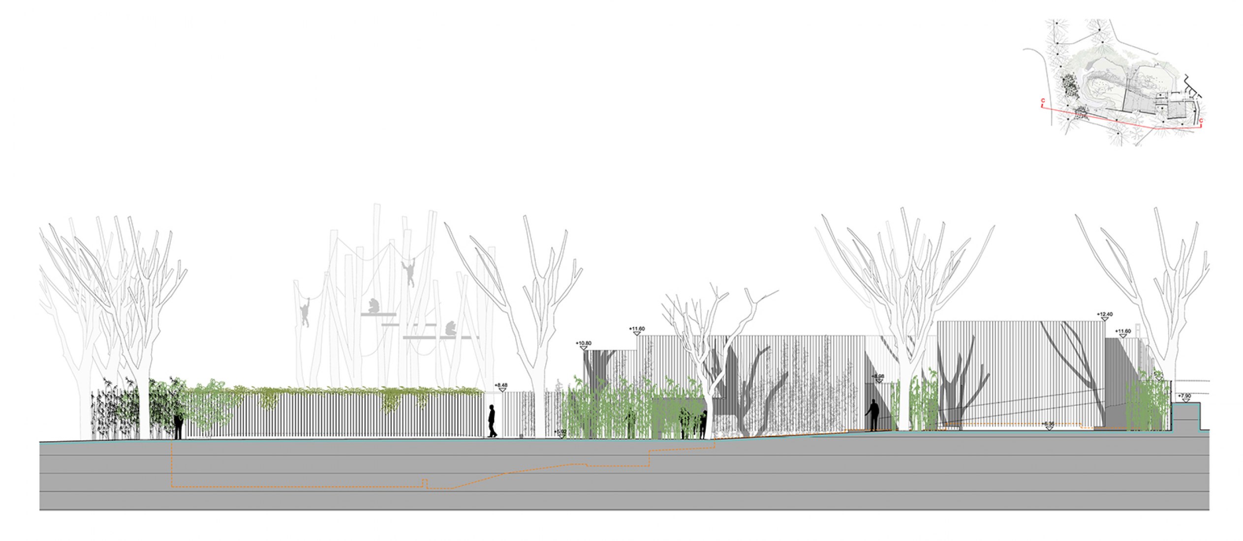 Section. Barcelona Zoo orangutans habitat by Forgas Arquitectes.  Section. Barcelona Zoo orangutans habitat by Forgas Arquitectes.